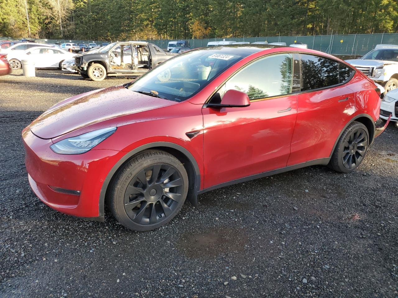 2022 TESLA MODEL Y  VIN:7SAYGDEE6NF364817