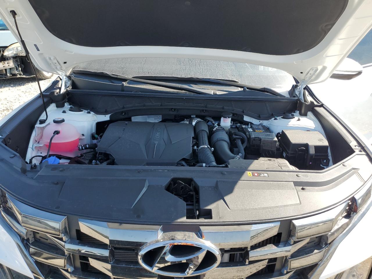 2024 HYUNDAI SANTA CRUZ LIMITED VIN:5NTJEDDF6RH123136