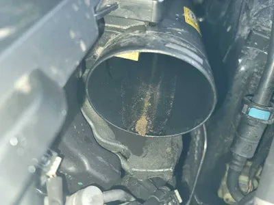 2016 Mercedes-Benz S 500 WDDUX8FB8GA232361 VIN:WDDUX8FB8GA232361