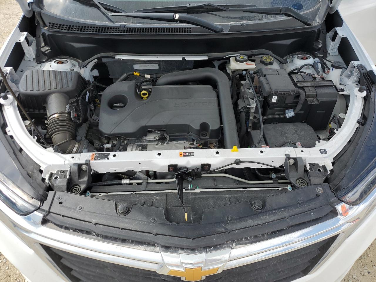 2023 CHEVROLET EQUINOX LS VIN:3GNAXHEG4PL117945