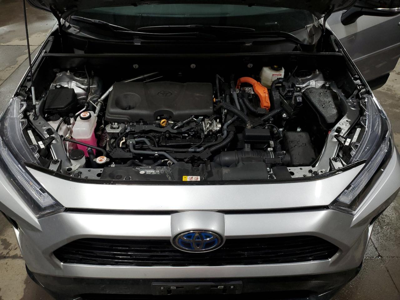 2023 TOYOTA RAV4 XSE VIN:4T3E6RFV0PU107597