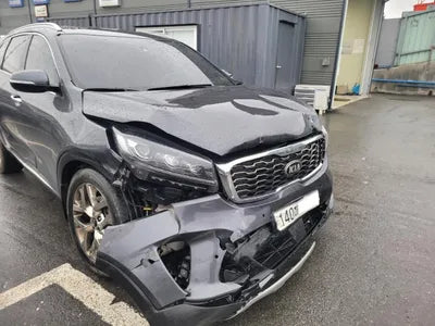 2019 Kia Sorento KNAPH81BBLA633531 VIN:KNAPH81BBLA633531