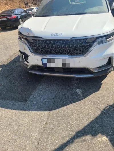 2022 Kia Carnival KNANC81BBNS166958 VIN:KNANC81BBNS166958