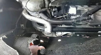 2021 Audi 50 WAUZZZF12MD004645 VIN:WAUZZZF12MD004645