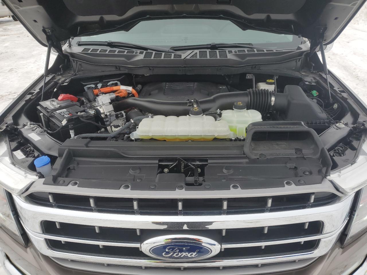 2023 FORD F150 SUPERCREW VIN:1FTFW1ED9PFB32286