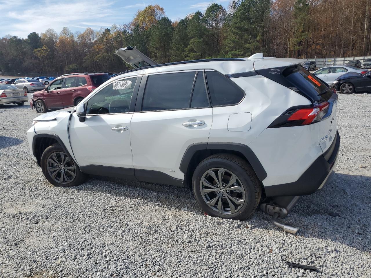 2024 TOYOTA RAV4 LIMITED VIN:JTMD6RFV3RJ058330
