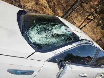 2017 Kia K5 KNAGT41EBHA009834 VIN:KNAGT41EBHA009834