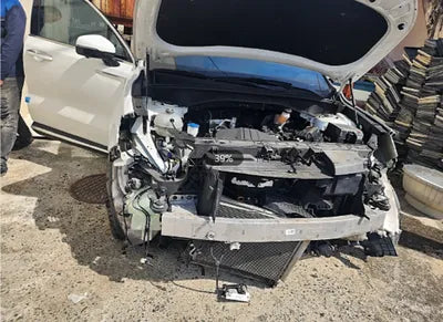 2021 Kia Sorento KNARH81BGMA036615 VIN:KNARH81BGMA036615