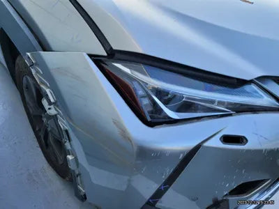 2019 Lexus UX 250 JTHY6JBH2K2001652 VIN:JTHY6JBH2K2001652