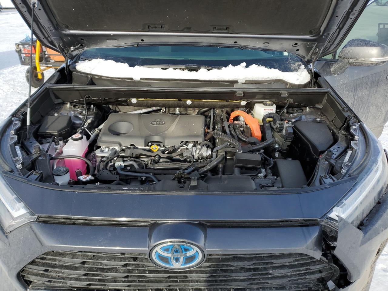 2024 TOYOTA RAV4 LE VIN:JTMMWRFV4RD259376