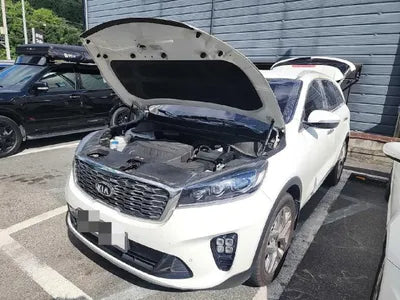 2019 Kia Sorento VIN: