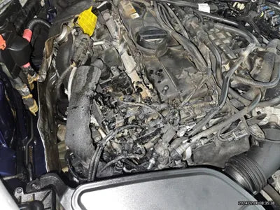 2019 BMW 530 WBAJD9102KB278446 VIN:WBAJD9102KB278446