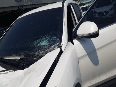 2016 Hyundai Santa FE KMHSW81UBGU635539 VIN:KMHSW81UBGU635539