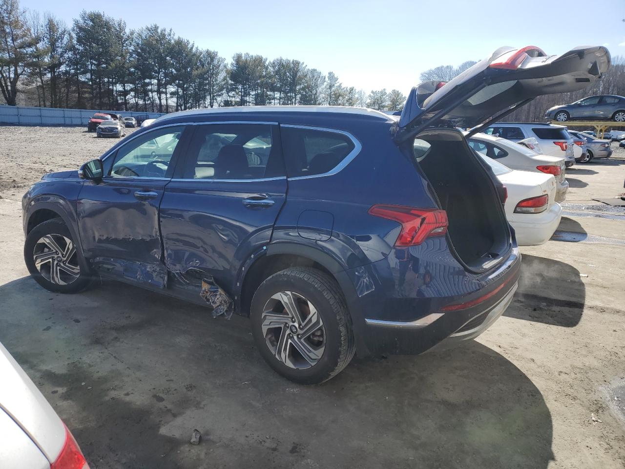 2023 HYUNDAI SANTA FE SEL PREMIUM VIN:5NMS3DAJXPH563436