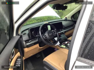 2020 Kia Carnival KNANC81BBMS004429 VIN:KNANC81BBMS004429