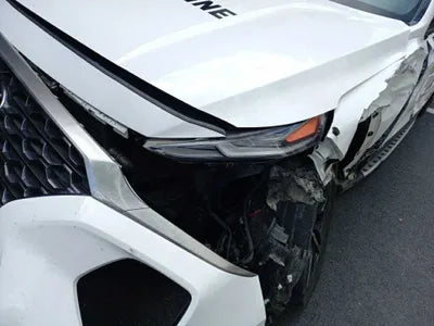 2019 Hyundai Santa FE KMHS381CDKU003486 VIN:KMHS381CDKU003486