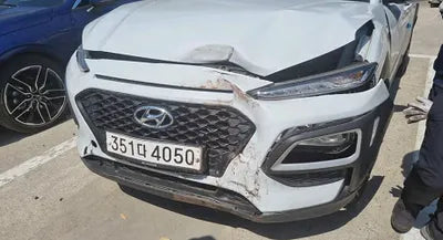 2019 Hyundai Kona KMHK4815GKU384793 VIN:KMHK4815GKU384793