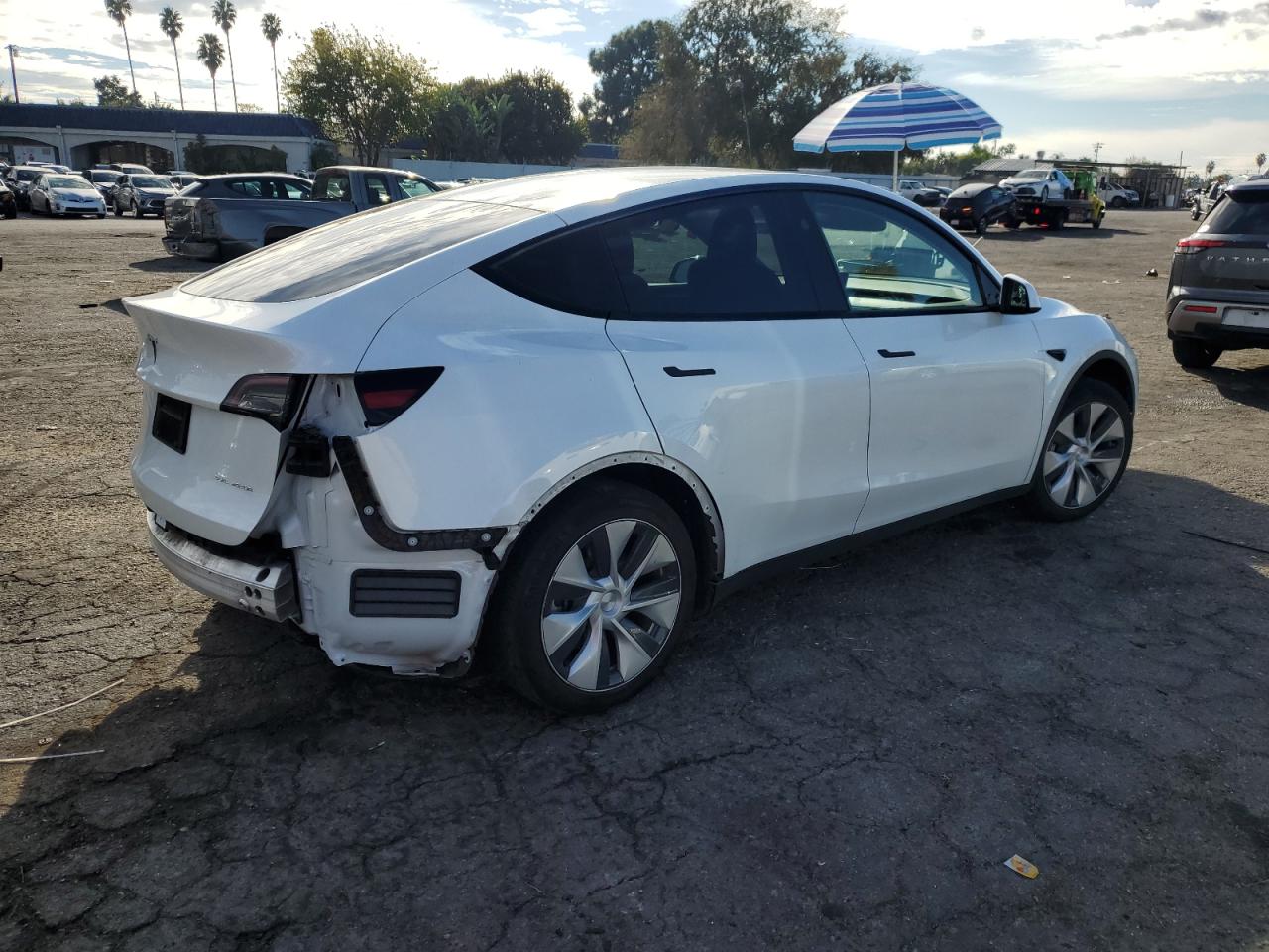 2023 TESLA MODEL Y  VIN:7SAYGDEE2PF834070