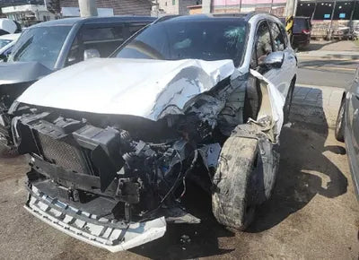 2019 Hyundai Santa FE KMHS581BDKU060270 VIN:KMHS581BDKU060270