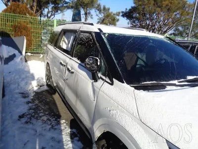 2020 Kia Carnival KNANE81BBMS010172 VIN:KNANE81BBMS010172