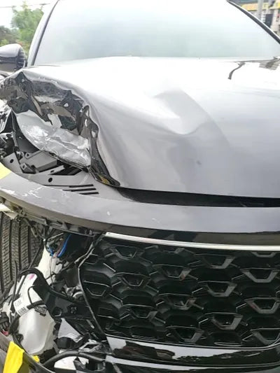 2022 Kia Sorento KNARL81GBNA105043 VIN:KNARL81GBNA105043