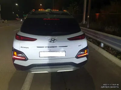 2019 Hyundai Kona KMHK7815GKU290845 VIN:KMHK7815GKU290845