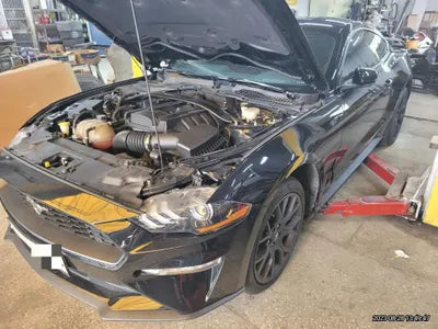 2019 Ford Mustang VIN: