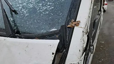 2023 Audi A4 LVPRPB4B1PC896132 VIN:LVPRPB4B1PC896132