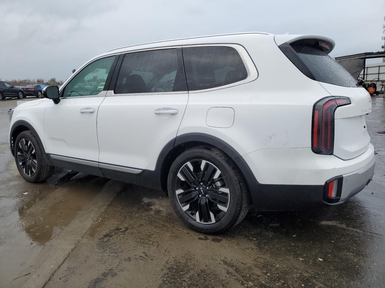 2024 KIA TELLURIDE SX VIN:5XYP5DGC5RG472564