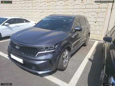 2020 Kia Sorento KNARK81BGMA015136 VIN:KNARK81BGMA015136
