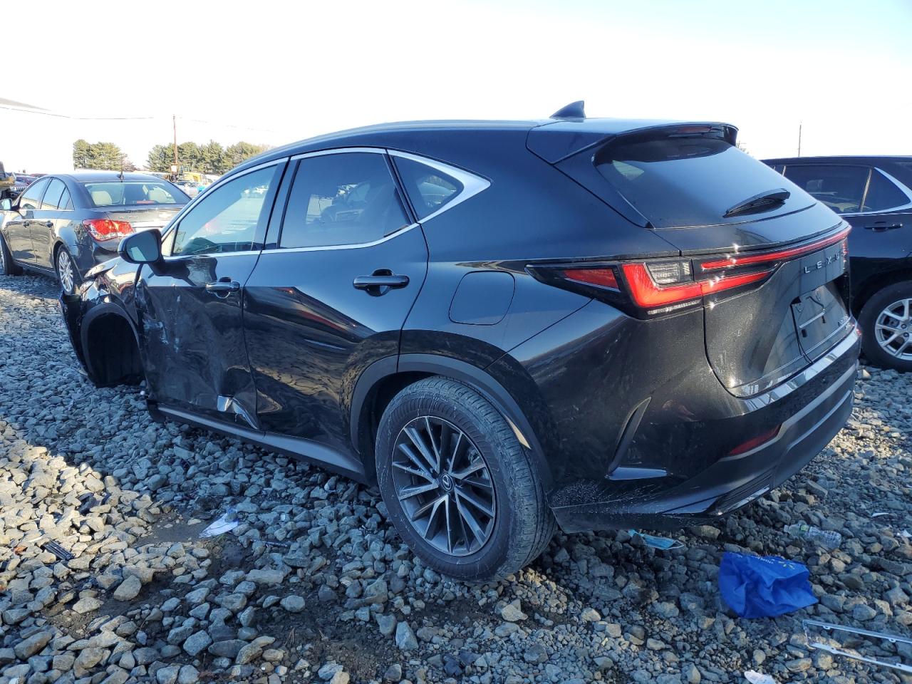 2024 LEXUS NX 350 BASE VIN:2T2AGCEZ6RC036394