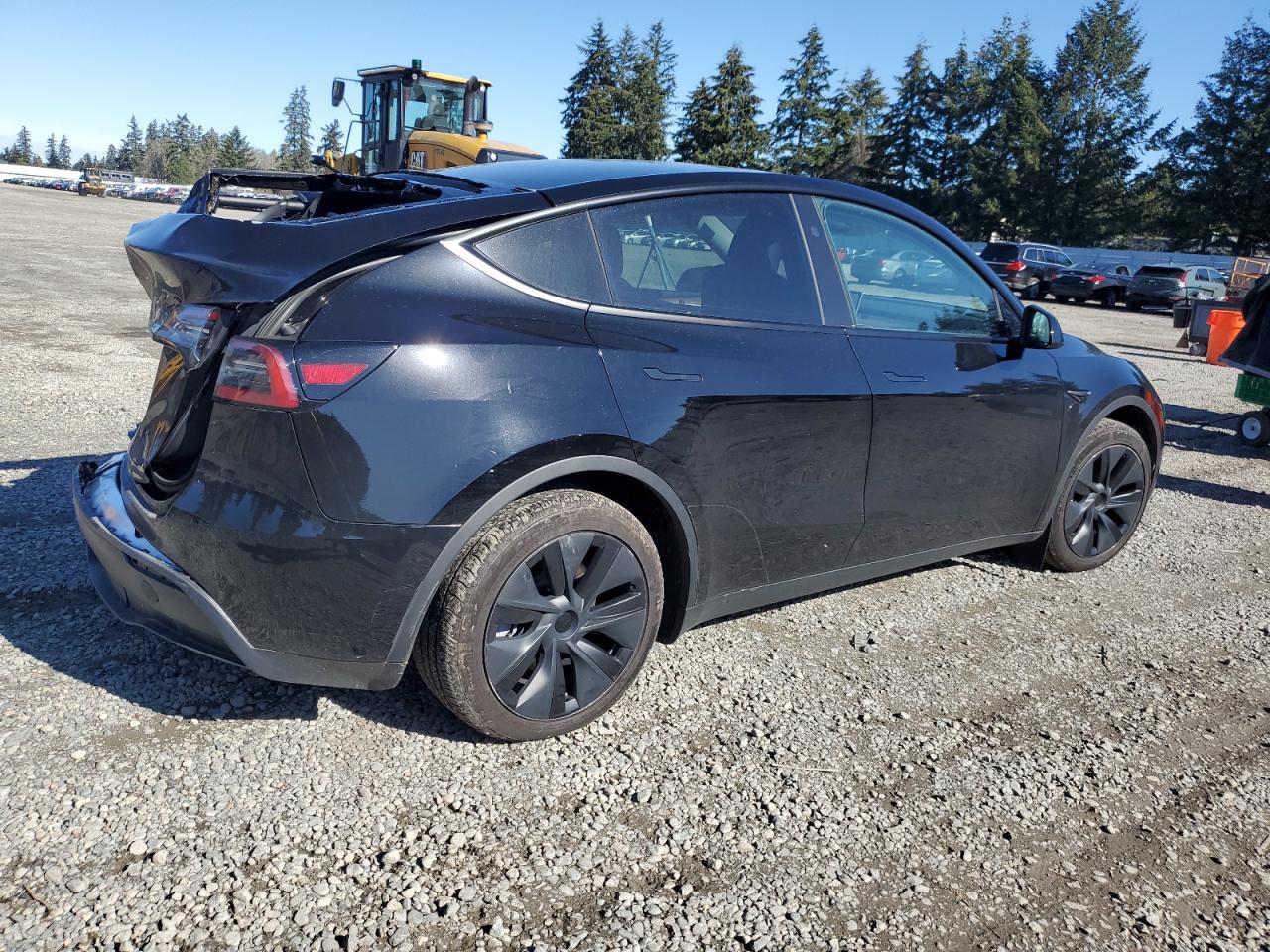 2024 TESLA MODEL Y  VIN:7SAYGDED3RF151577