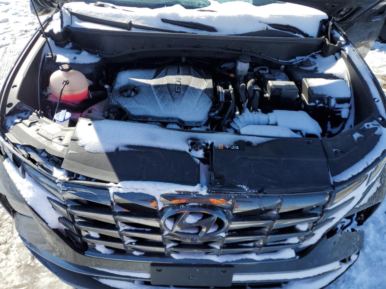 2024 HYUNDAI TUCSON LIMITED VIN:5NMJECDE1RH365037