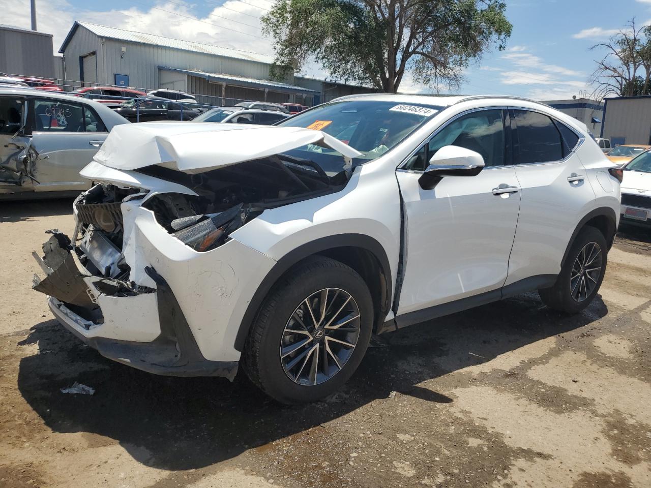 2024 LEXUS NX 250 PREMIUM VIN:WP0AA2A8XNS255297