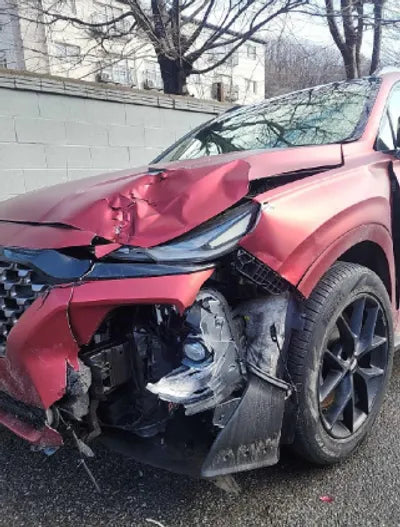 2020 Hyundai Santa FE KMHS581CDLU193266 VIN:KMHS581CDLU193266