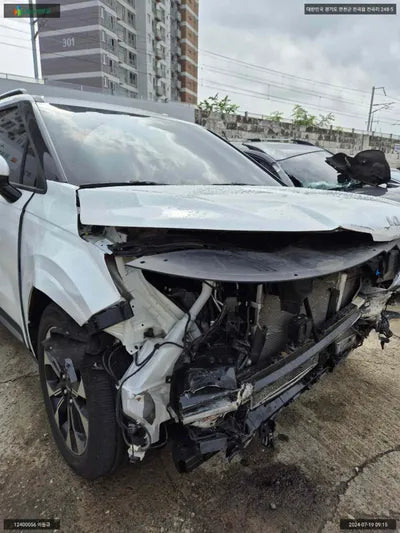 2021 Kia Carnival KNANC81BBNS158916 VIN:KNANC81BBNS158916