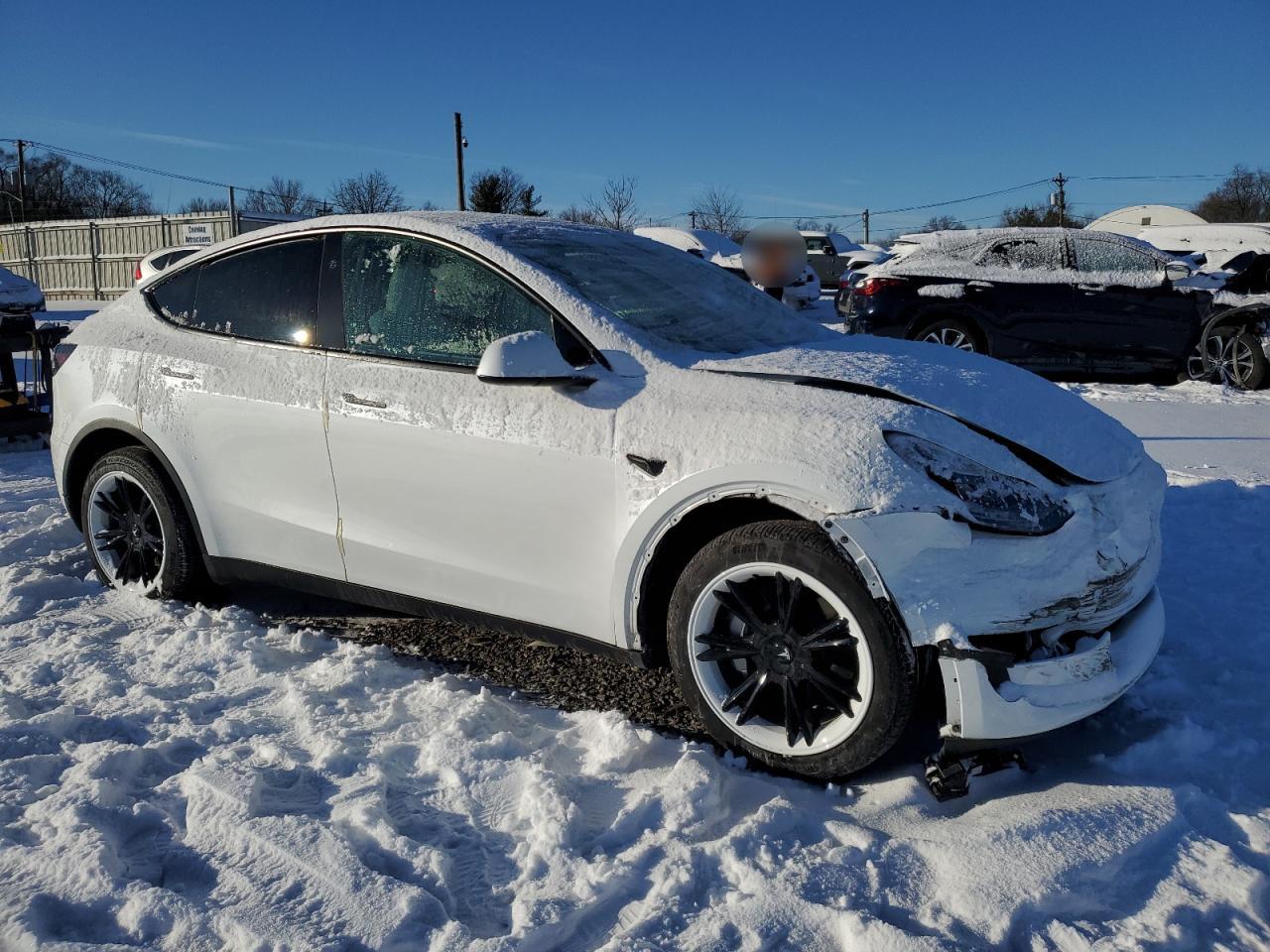 2024 TESLA MODEL Y  VIN:7SAYGDEE2RA258917
