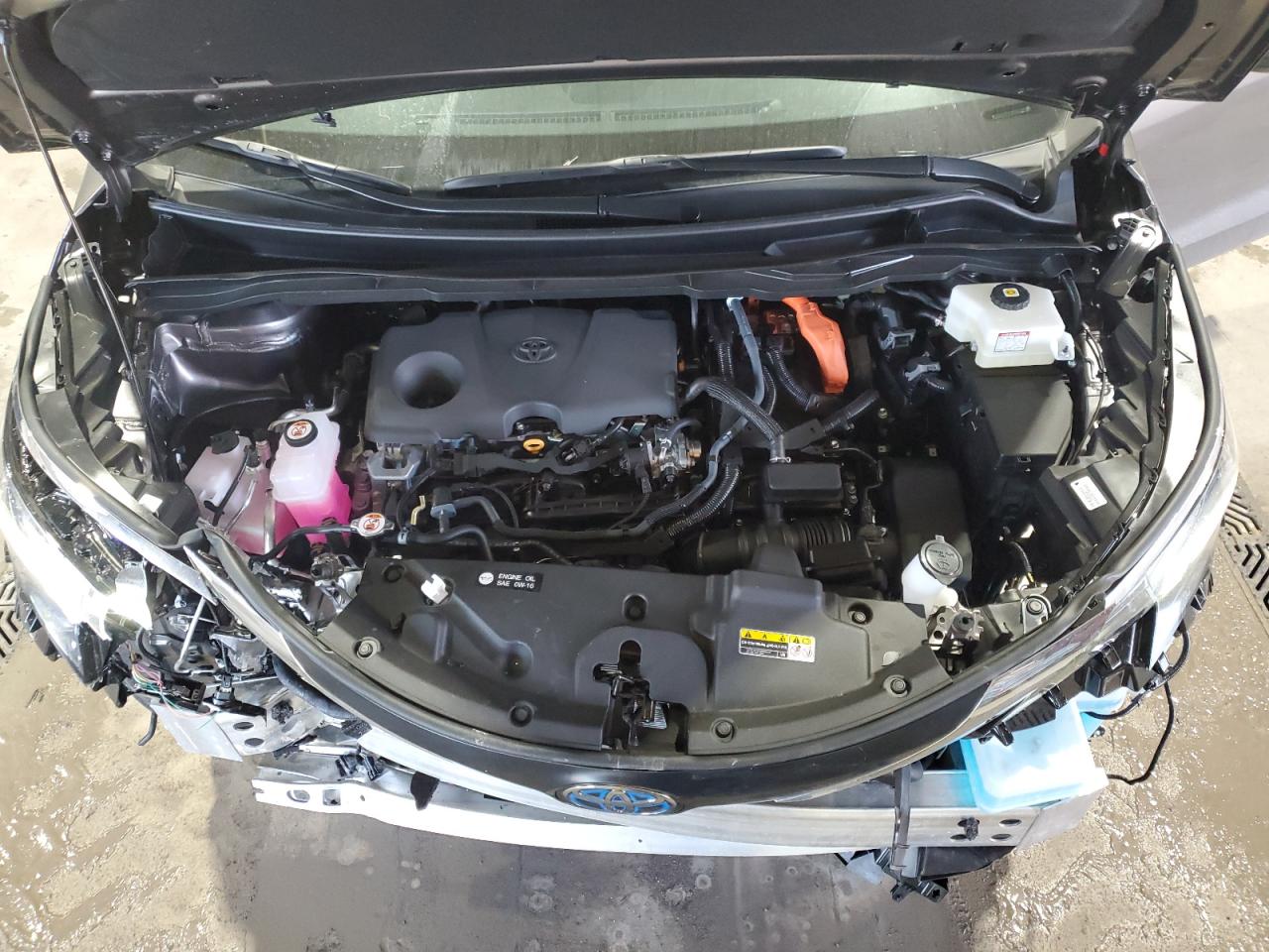 2024 TOYOTA SIENNA XLE VIN:5TDYSKFC5RS142123