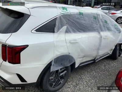 2020 Kia Sorento KNARH81GBMA020392 VIN:KNARH81GBMA020392