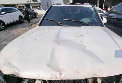2022 Kia Mohave KNAKN814DNA243610 VIN:KNAKN814DNA243610