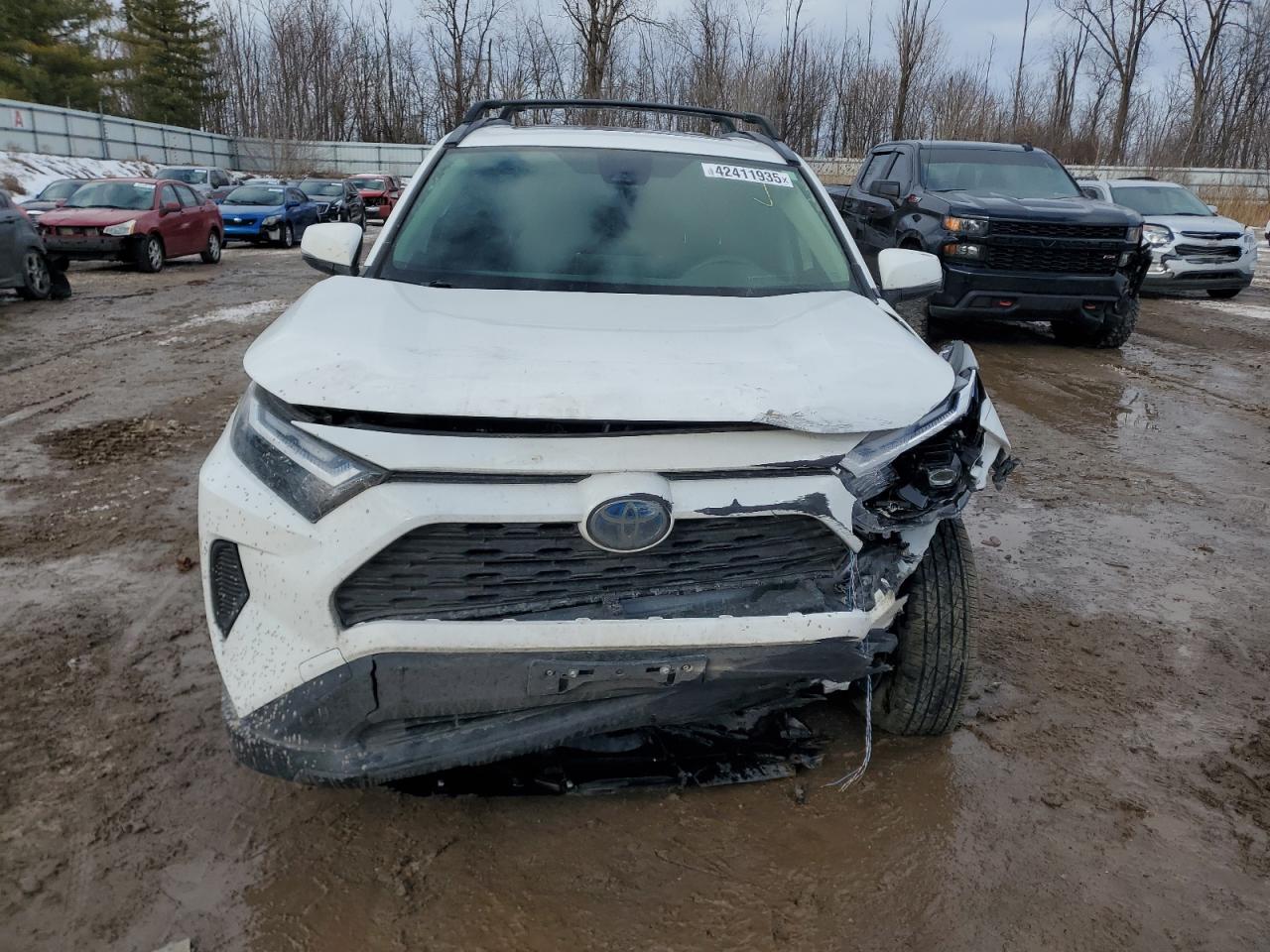 2023 TOYOTA RAV4 XLE VIN:JTMRWRFV4PD184228