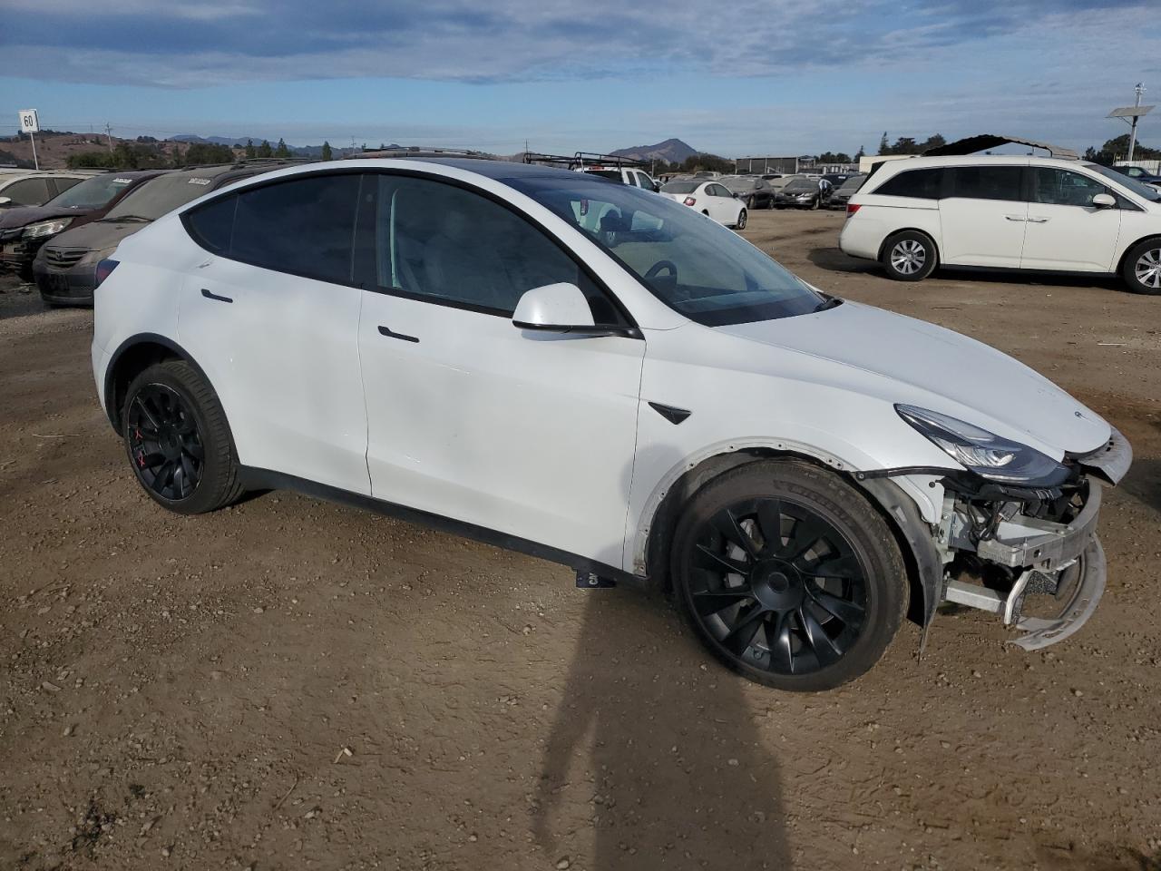 2022 TESLA MODEL Y  VIN:7SAYGAEE8NF384436