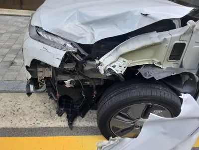2019 Hyundai Kona KMHK281GFKU039495 VIN:KMHK281GFKU039495