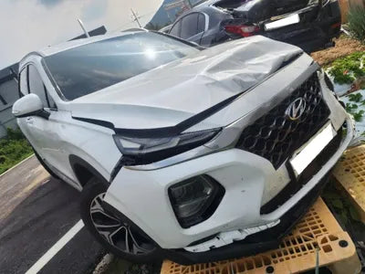 2019 Hyundai Santa FE KMHS381BBKU171201 VIN:KMHS381BBKU171201