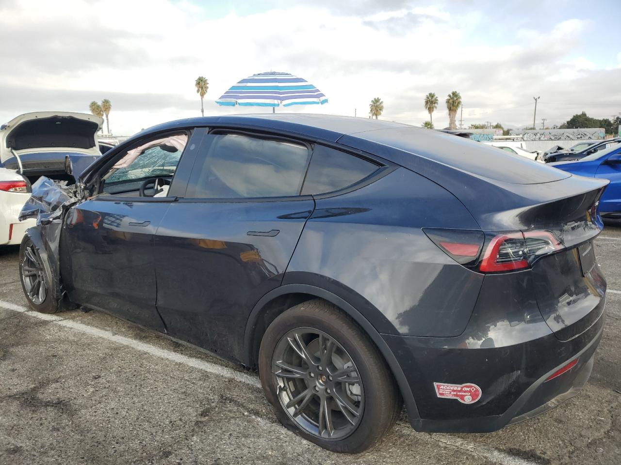 2024 TESLA MODEL Y  VIN:7SAYGDEE4RF104941