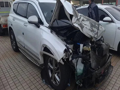 2019 Hyundai Santa FE KMHS581CBKU081567 VIN:KMHS581CBKU081567