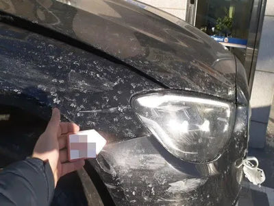 2021 Mercedes-Benz E 250 W1KZF4FB6MA979342 VIN:W1KZF4FB6MA979342