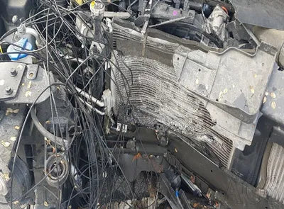 2020 Hyundai Santa FE KMHS281CDLU252464 VIN:KMHS281CDLU252464