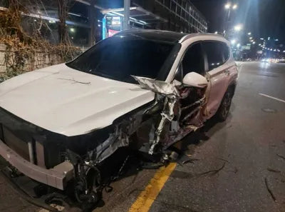 2021 Hyundai Santa FE KMHS381LGMU377723 VIN:KMHS381LGMU377723