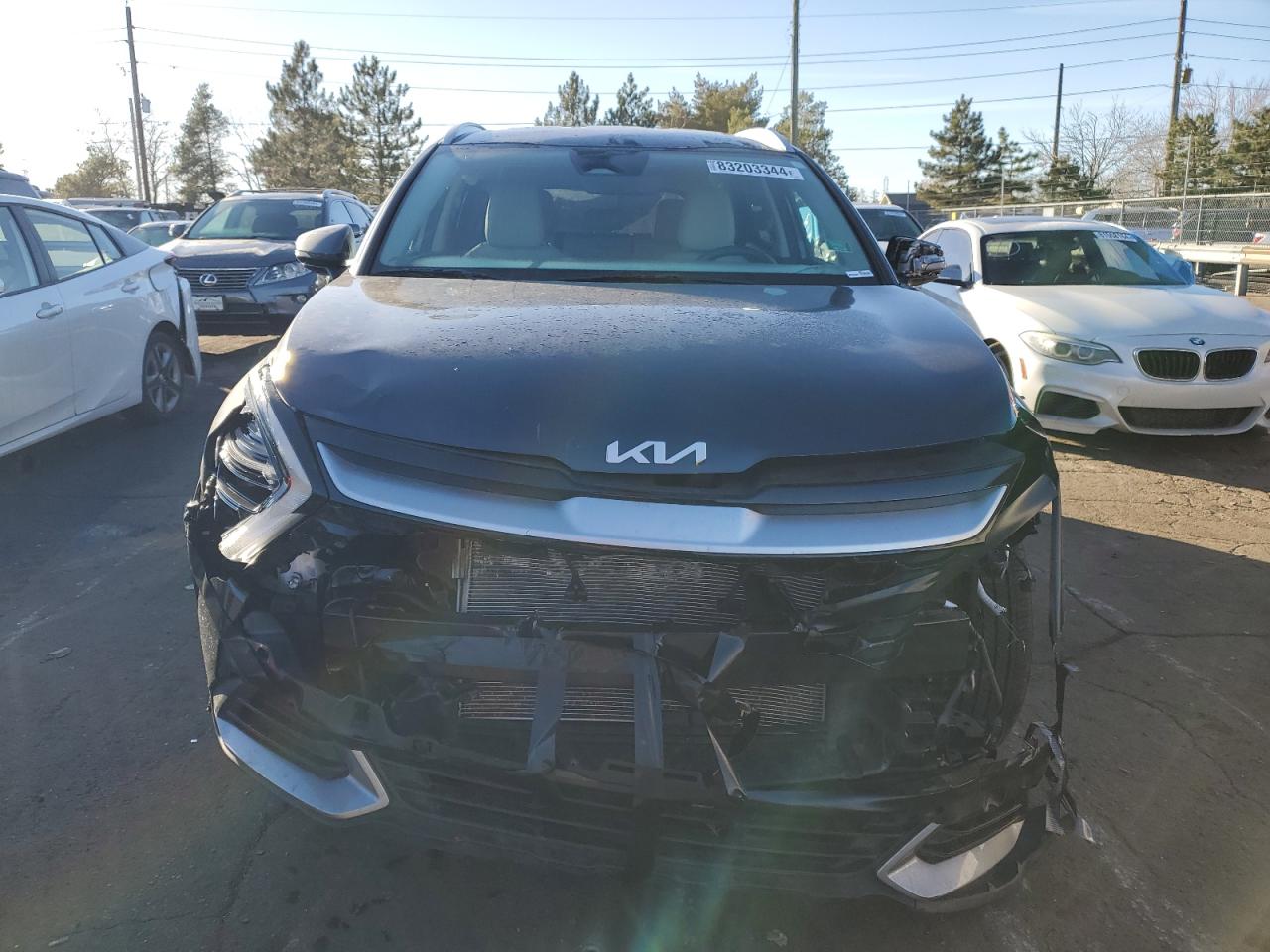 2024 KIA SPORTAGE EX VIN:5XYK3CDF1RG169001